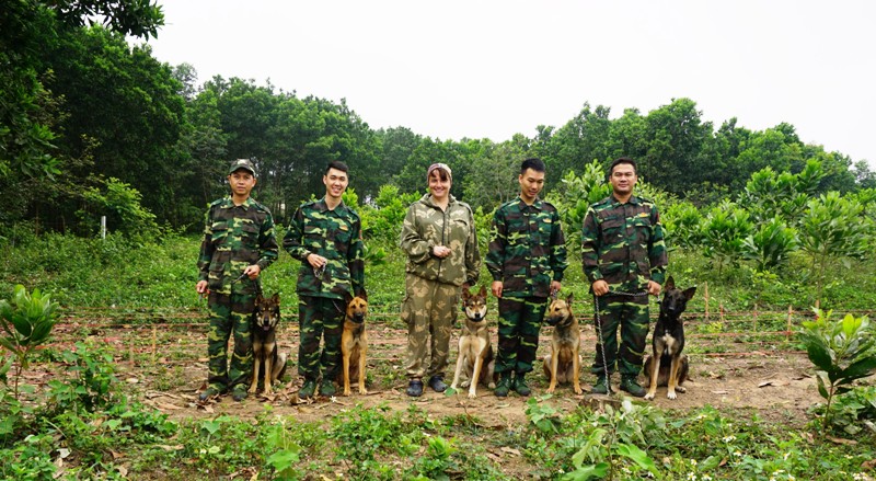 Huấn luyện chó bản địa thực hiện nhiệm vụ bảo vệ an ninh, quốc phòng