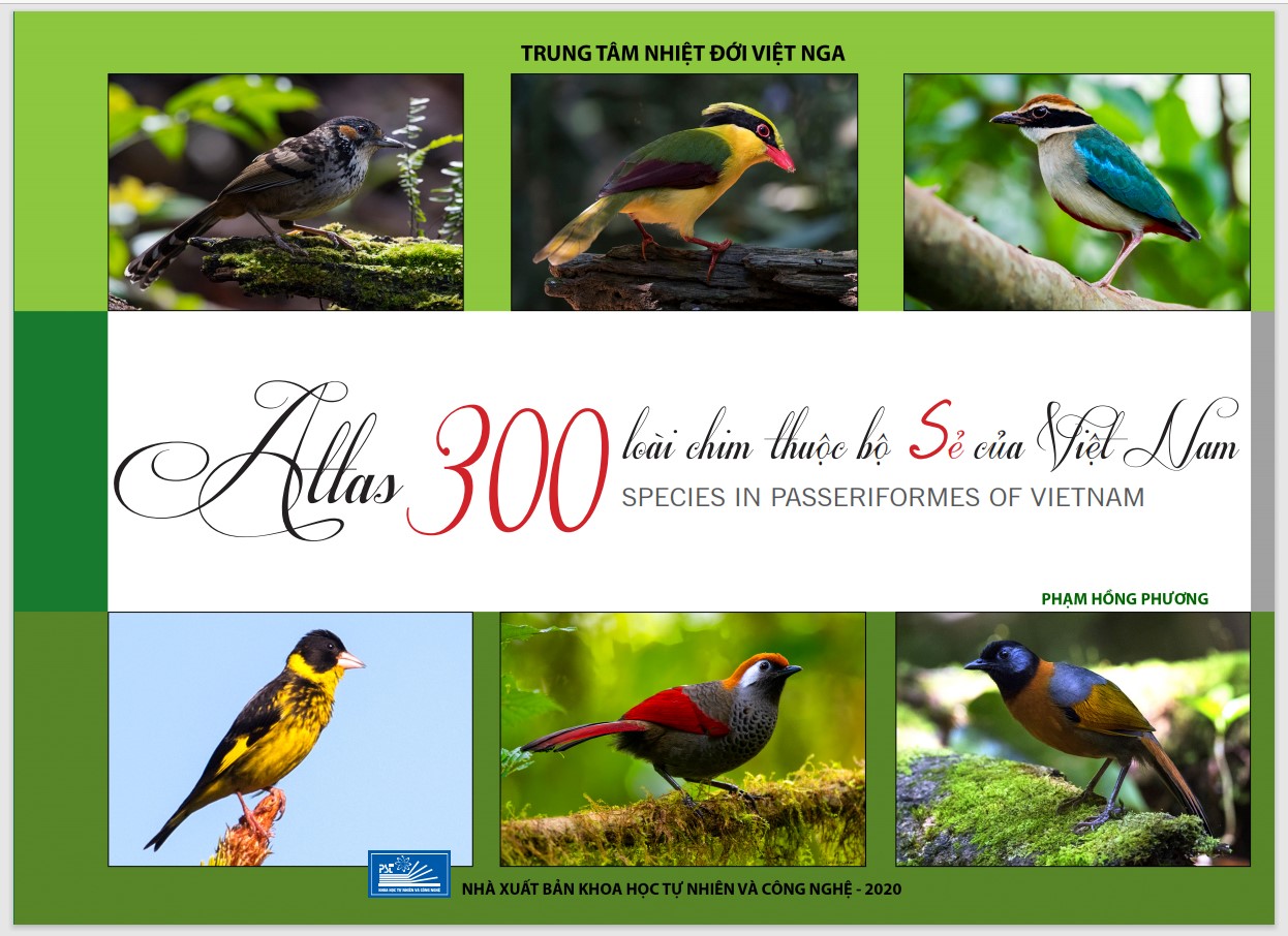 Atlats 300 loài chim thuộc Bộ Sẻ của Việt Nam