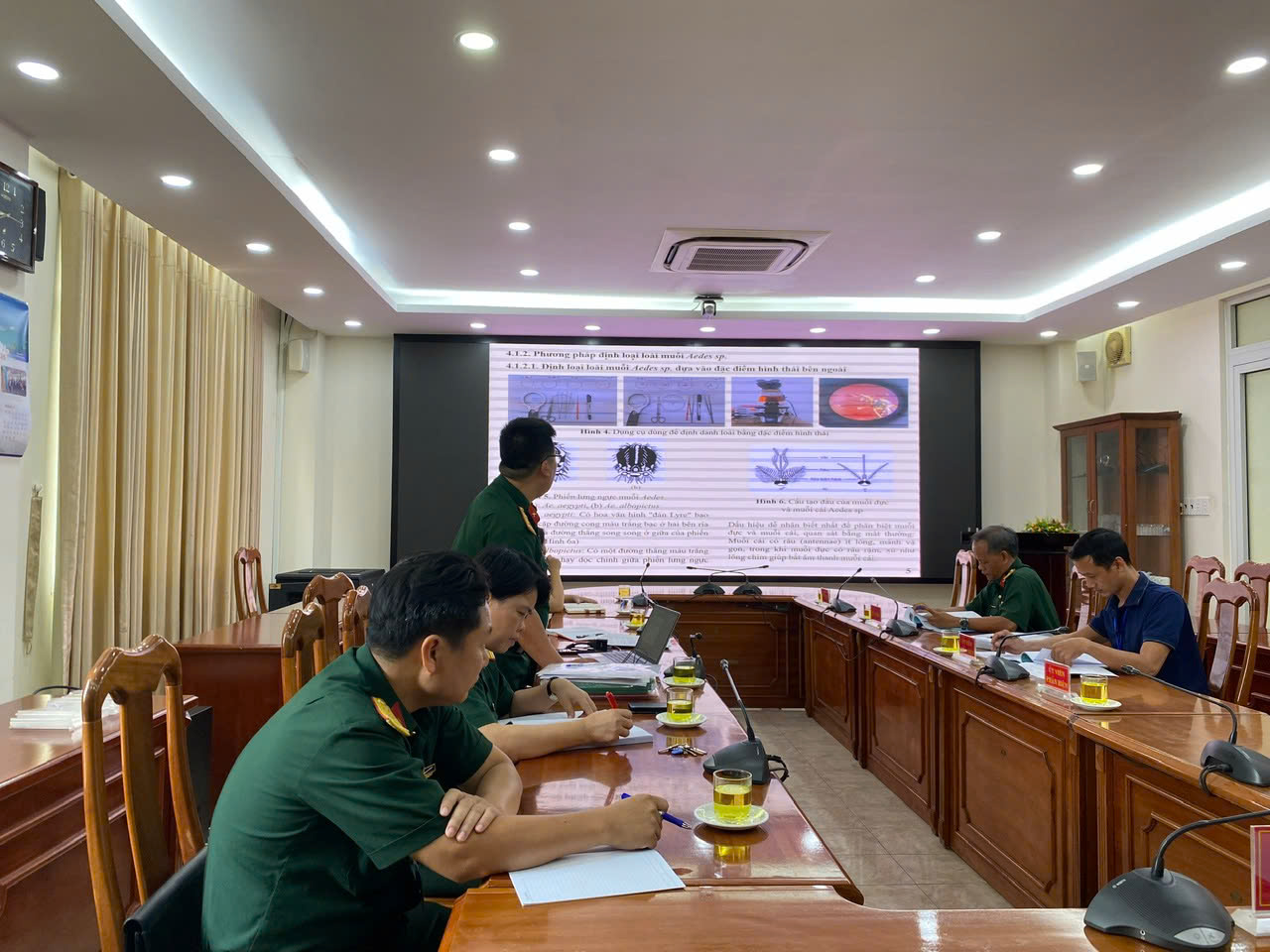 Khảo sát đột biến gen liên quan đến khả năng kháng thuốc diệt côn trùng của quần thể muỗi Aedes tại TP. Hồ Chí Minh