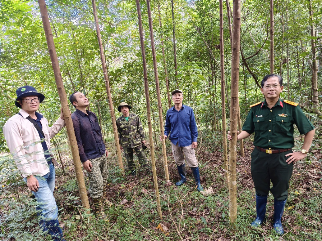Mô hình thử nghiệm phục hồi rừng theo nguyên lý Miyawaki - một “phòng thí nghiệm sống” cho kỹ thuật phục hồi rừng nhiệt đới ở Việt Nam