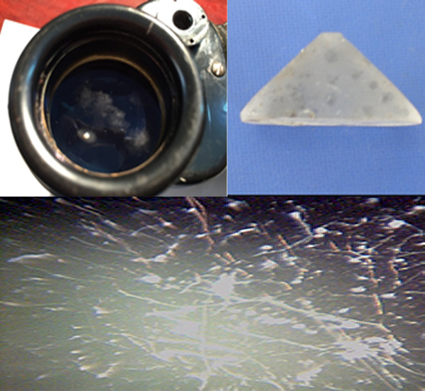 Nghiên cứu thử nghiệm chống nấm mốc cho kính quang học với chế phẩm Bio-AIT