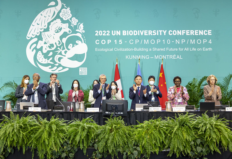 COP15 CBD: Thông qua Khung Đa dạng sinh học toàn cầu Kunming - Montreal