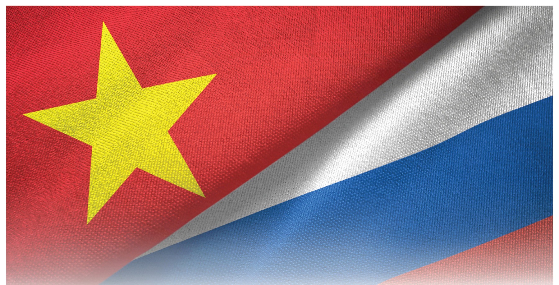 Coordinating Committee for Vietnam-Russia Tropical Centre convenes 31st meeting