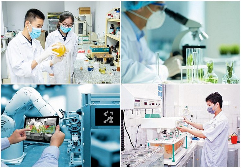 Các mô hình doanh nghiệp khoa học và công nghệ hình thành từ tổ chức khoa học và công nghệ công lập - Kỳ 2  