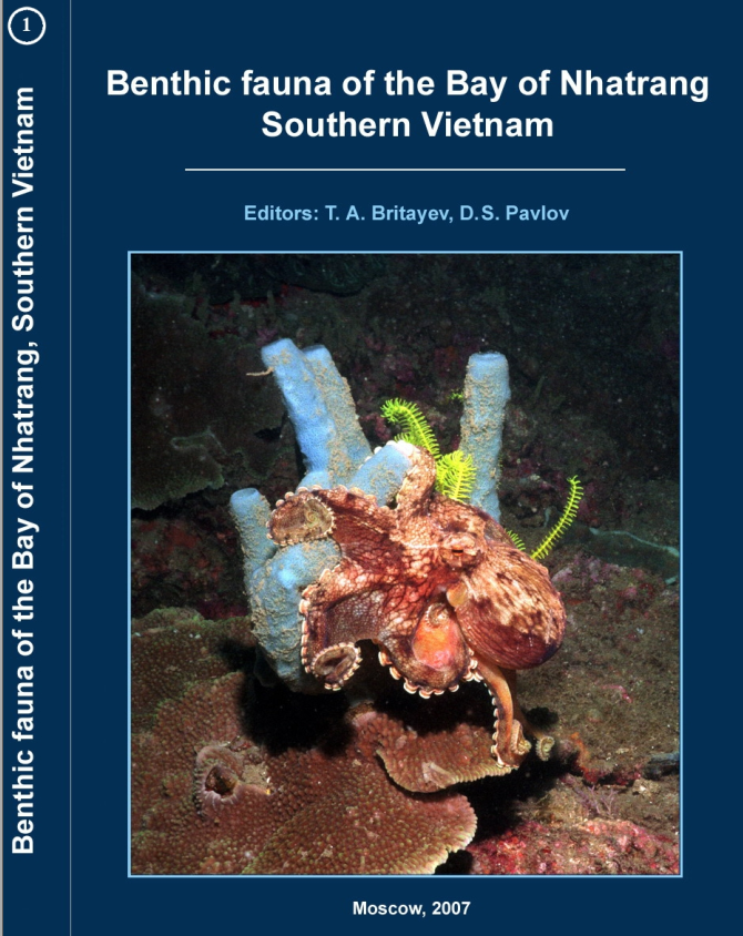 Benthic fauna of the bay of Nhatrang - Southern Vietnam